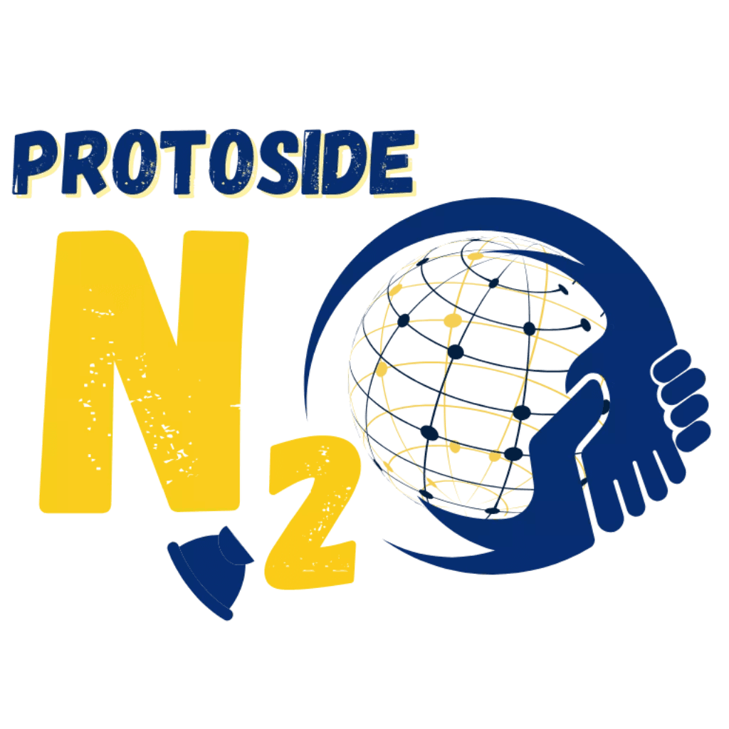 logo_n2o